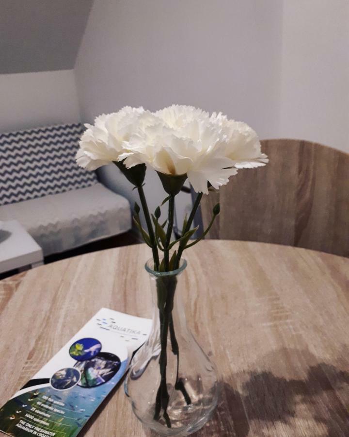 Apartman Lena Tusilovic Eksteriør billede